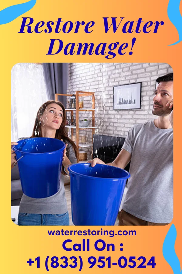 water restoration Elite Disaster Recovery Specialists Whiteface