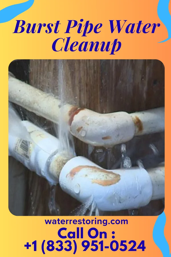 Burst Pipe Water Cleanup in Whiteface, TX