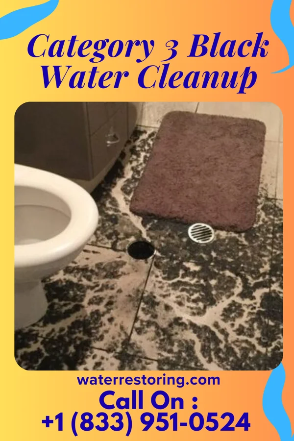 Category 3 Black Water Cleanup in Whiteface, TX