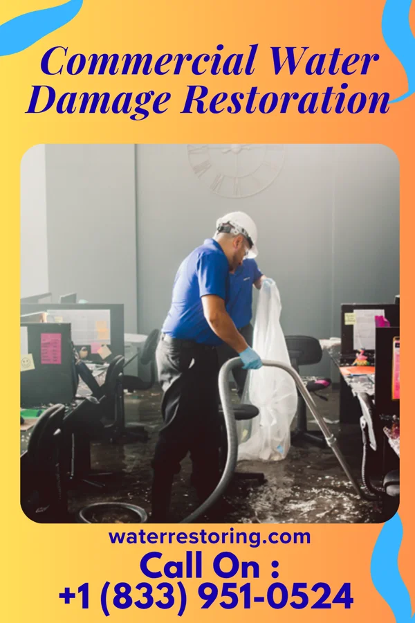 Commercial Water Damage Restoration in Whiteface, TX