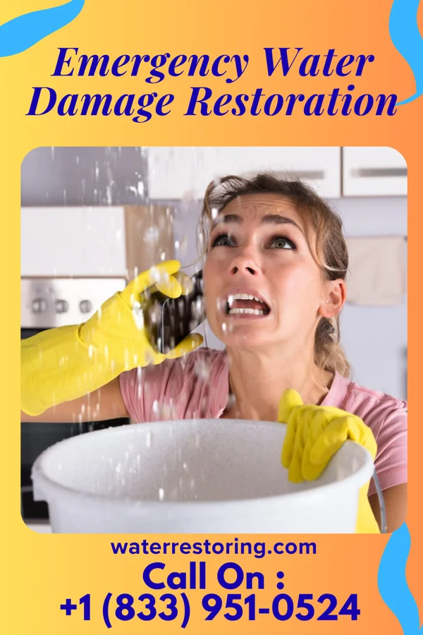Emergency Water Damage Restoration in Whiteface, TX